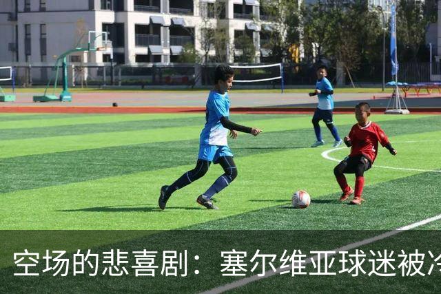 空场的悲喜剧：塞尔维亚球迷被冷落，德国比赛变身“喧闹派对