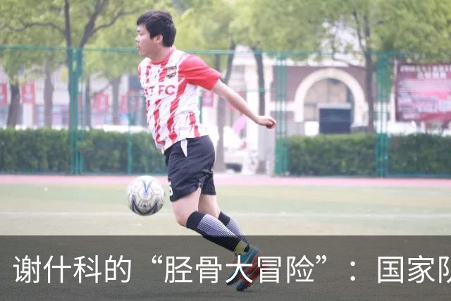 谢什科的“胫骨大冒险”：国家队名单中的悬念